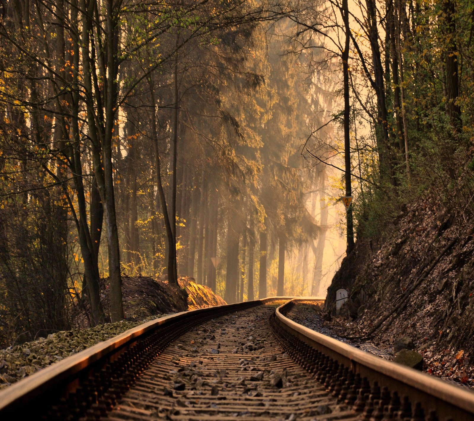 Voie de train traversant les bois (regard, sympa)