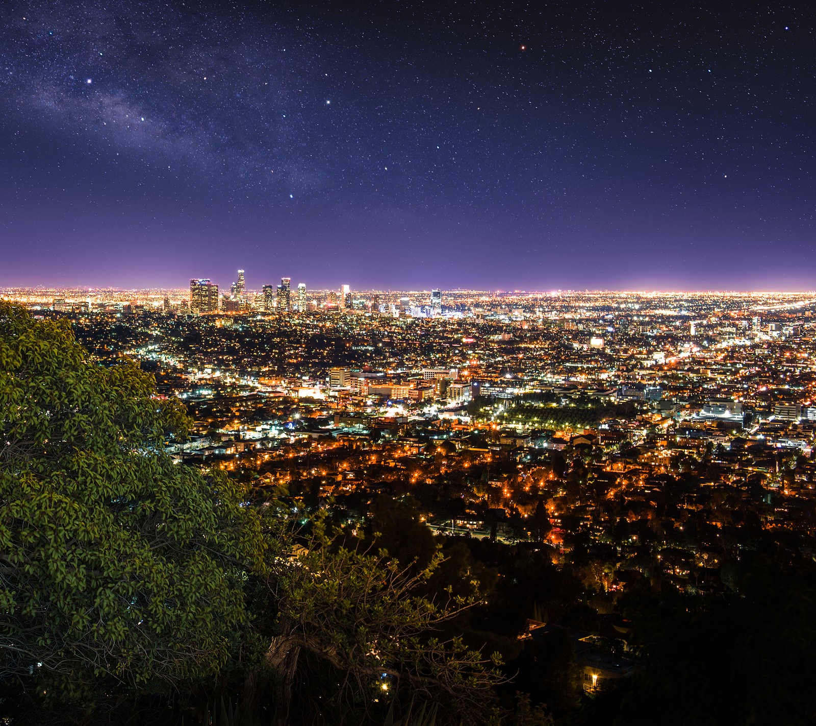 Uma vista de uma cidade à noite de uma colina com uma árvore (luzes, noite)