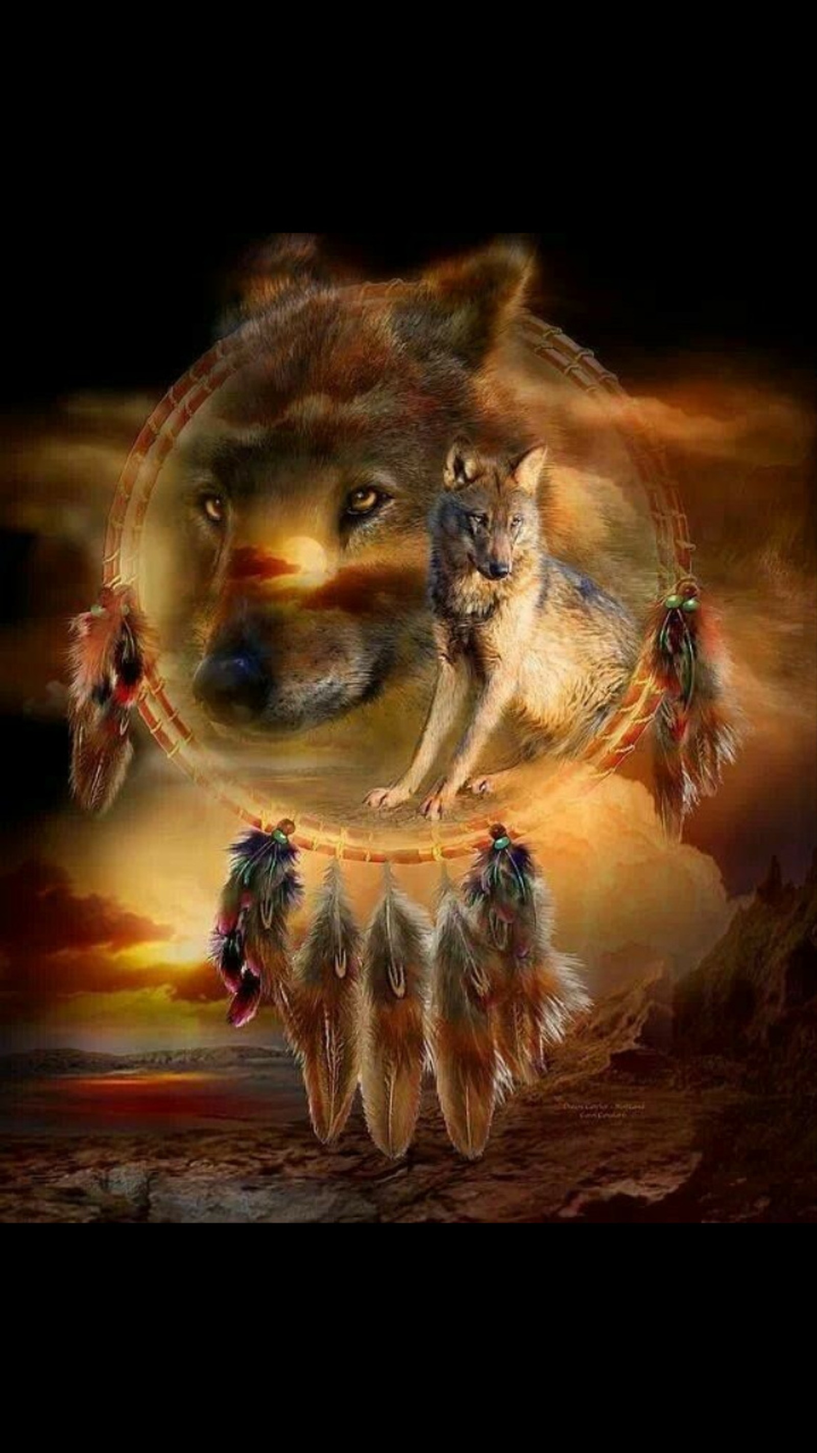 A close up of a painting of a wolf with a dream catcher (dream catcher, wolfs)