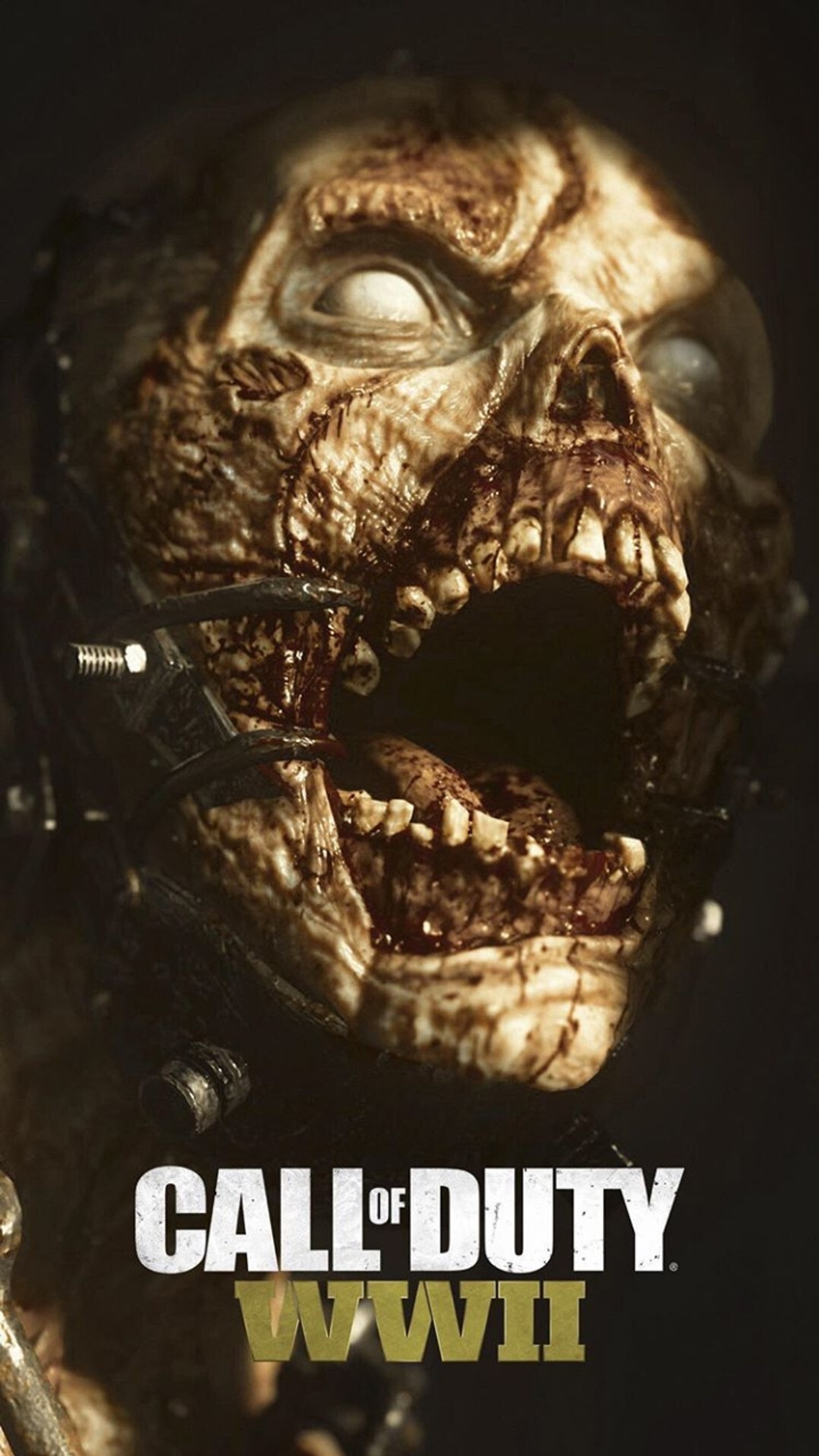 Poster de call of duty ww1 (call of duty, zombis)