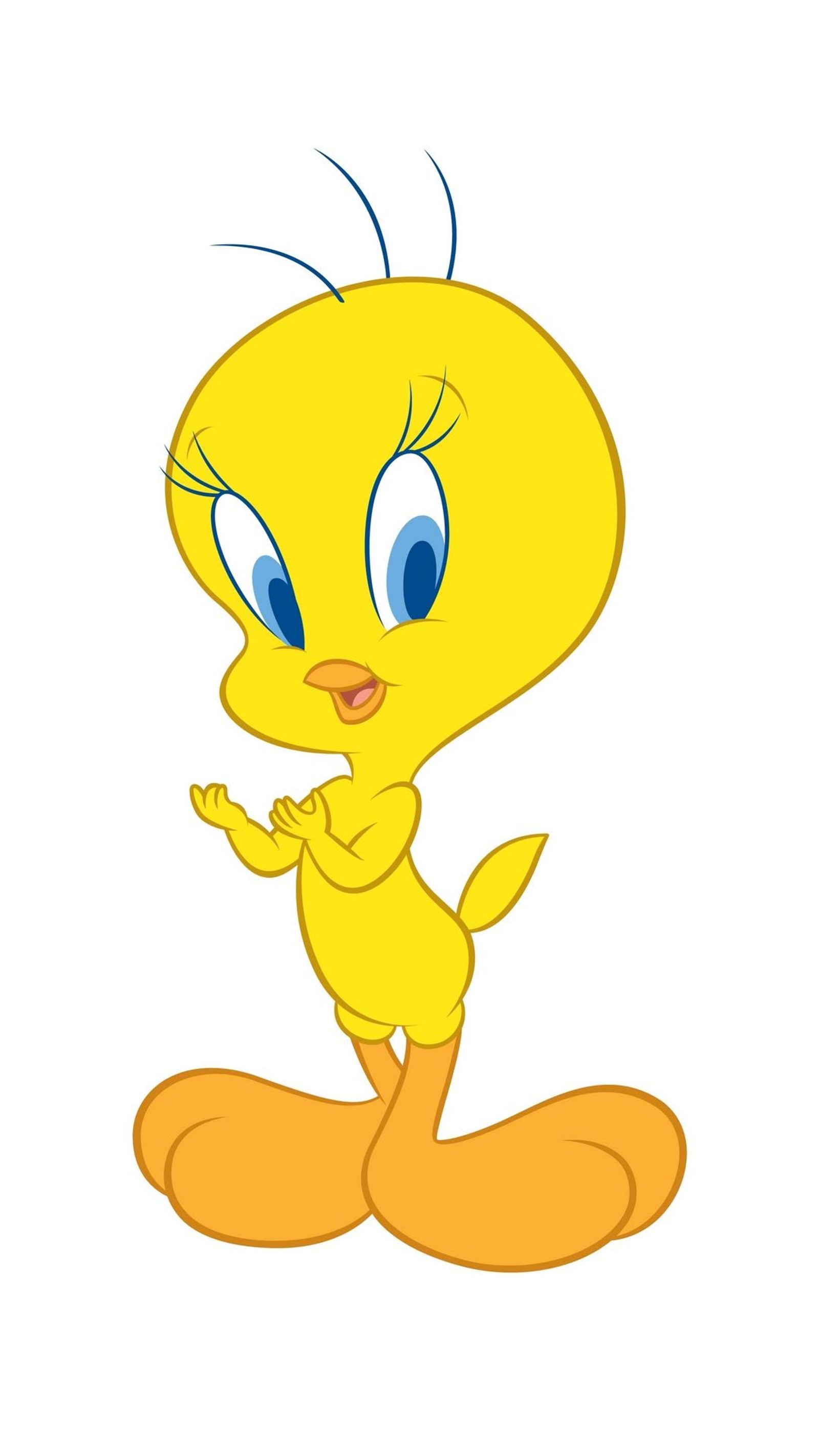 A close up of a cartoon bird with a surprised look (cartoon character, tweety bird)