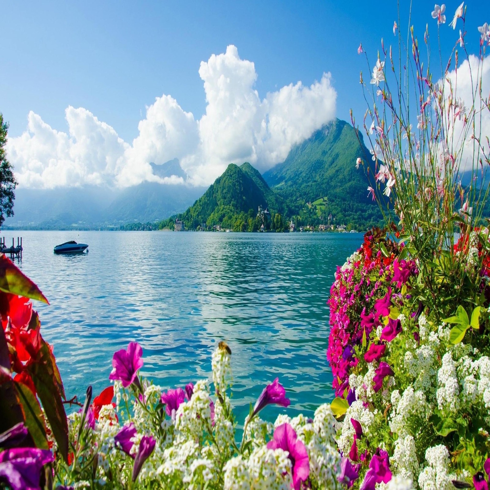 Flores y plantas en la orilla de un lago con un bote a lo lejos (hermoso, lindo, mirada, agradable)