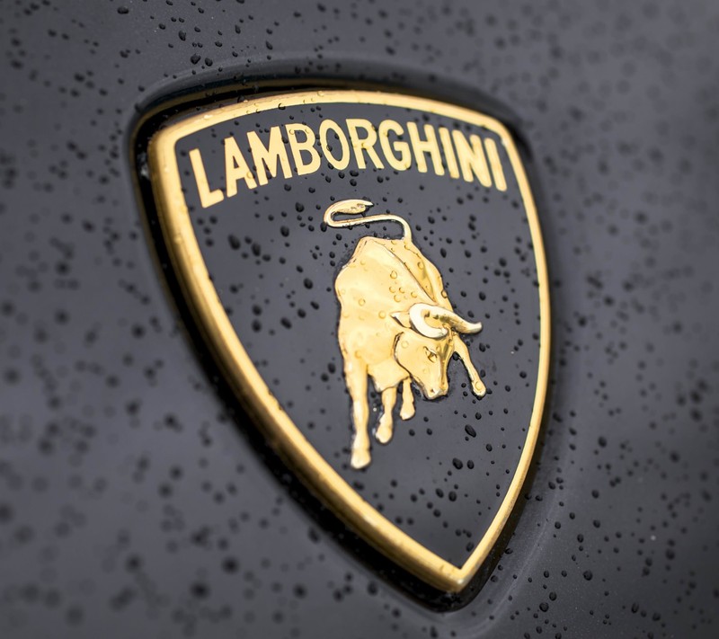 Близкий план логотипа ламборгини на машине (lamborghini, логотип)