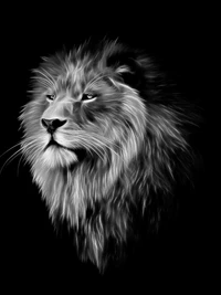 3d, background, black, digital, lion wallpaper