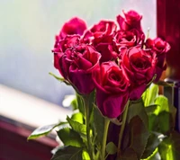 Vibrant Red Roses in a Natural Setting