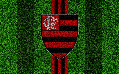 Emblème du Flamengo FC sur fond d'herbe verte