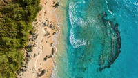 marley, beach, bermuda, ocean, aerial view wallpaper