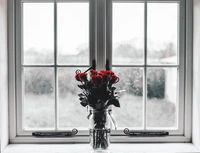 Red Roses in a Glass Vase by a Window