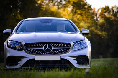 Elegante coche de lujo Mercedes-Benz con parrilla icónica en un entorno natural