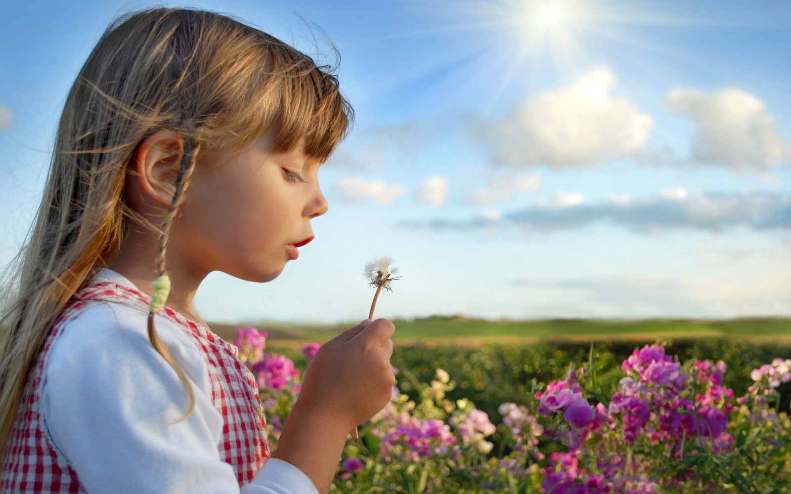 Niña árabe soplando un diente de león en un campo de flores (niño, belleza, primavera, pradera, verano)