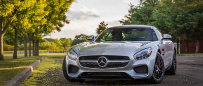 Elegante Mercedes-Benz AMG GT estacionado em meio à vegetação exuberante, exibindo seu design poderoso e desempenho luxuoso.