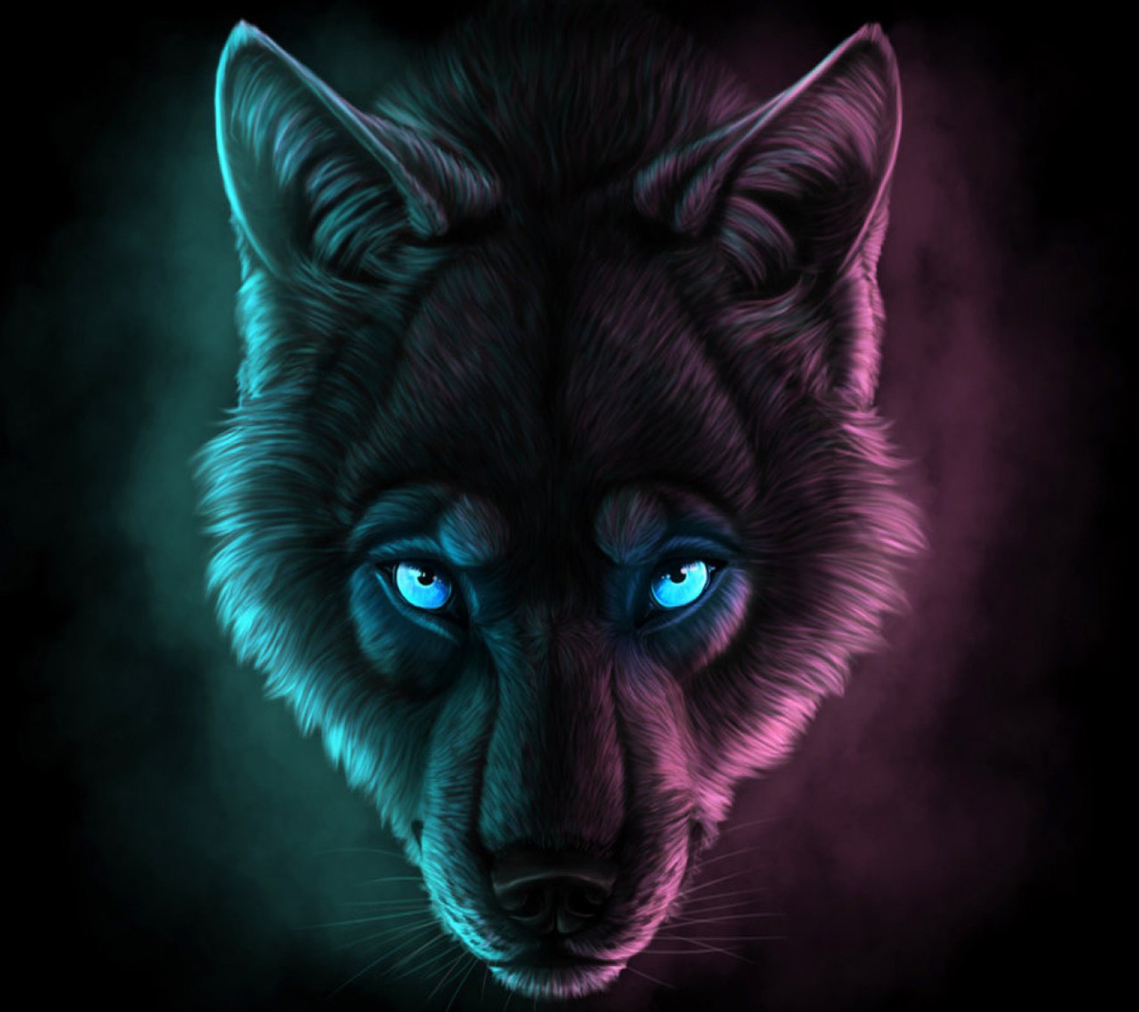 Un primer plano de un lobo con ojos azules sobre un fondo negro (oscuro, lobo)