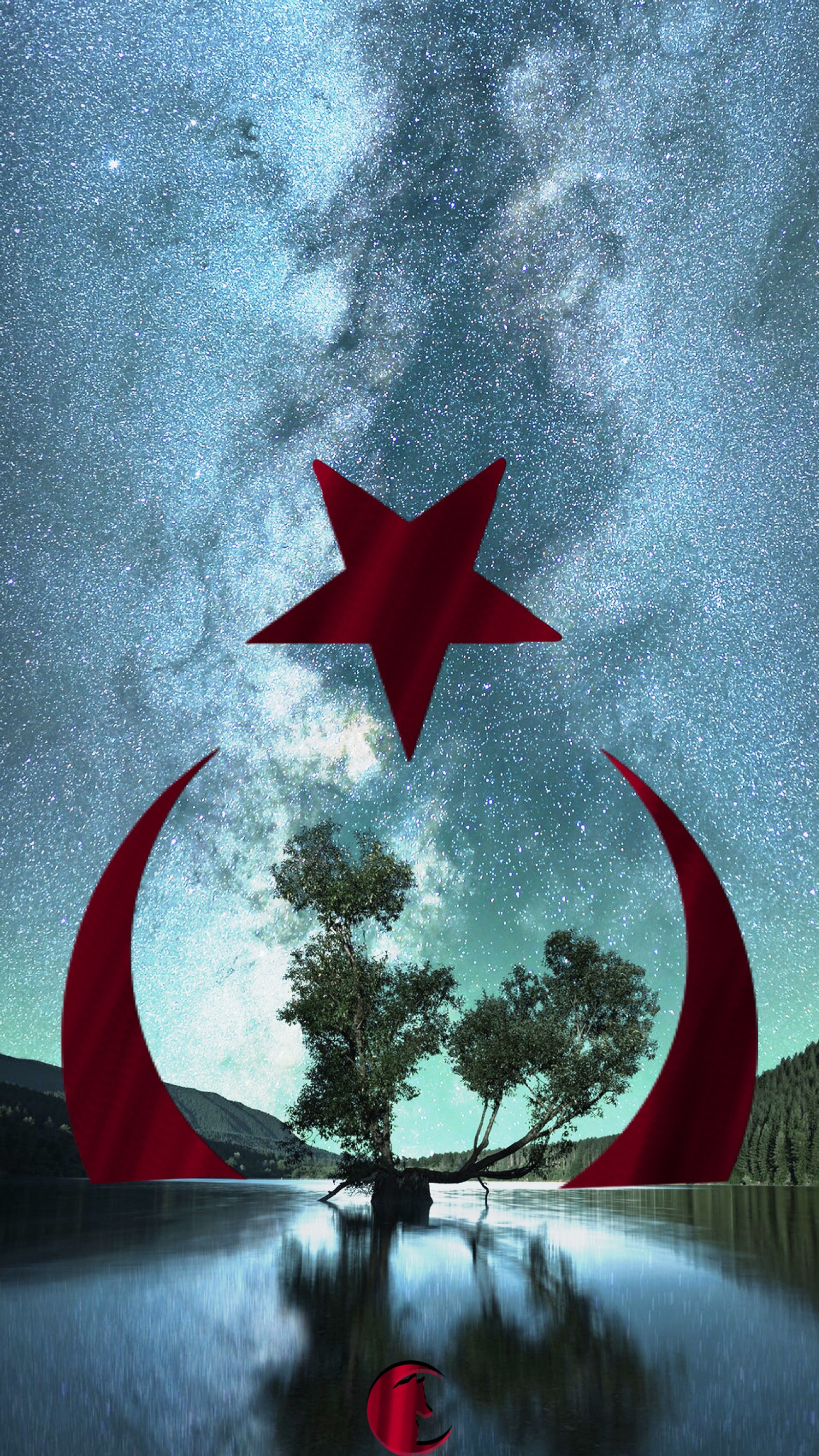 Céu estrelado com uma árvore solitária e uma estrela vermelha (vermelho, céu, turco, turkcu, turkcuduvar)