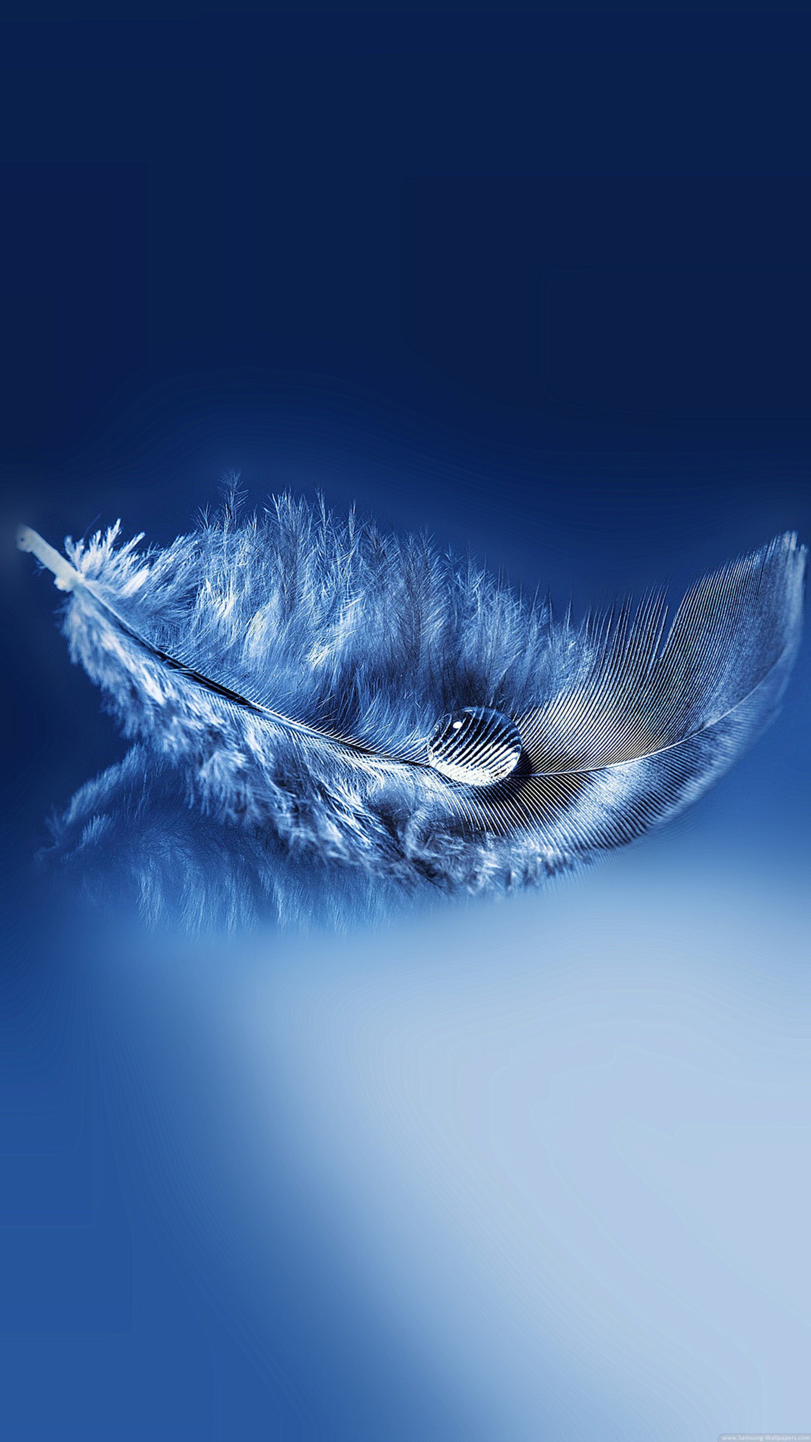 Arafed feather on a blue background with a white background (blue, drop, feather, water)