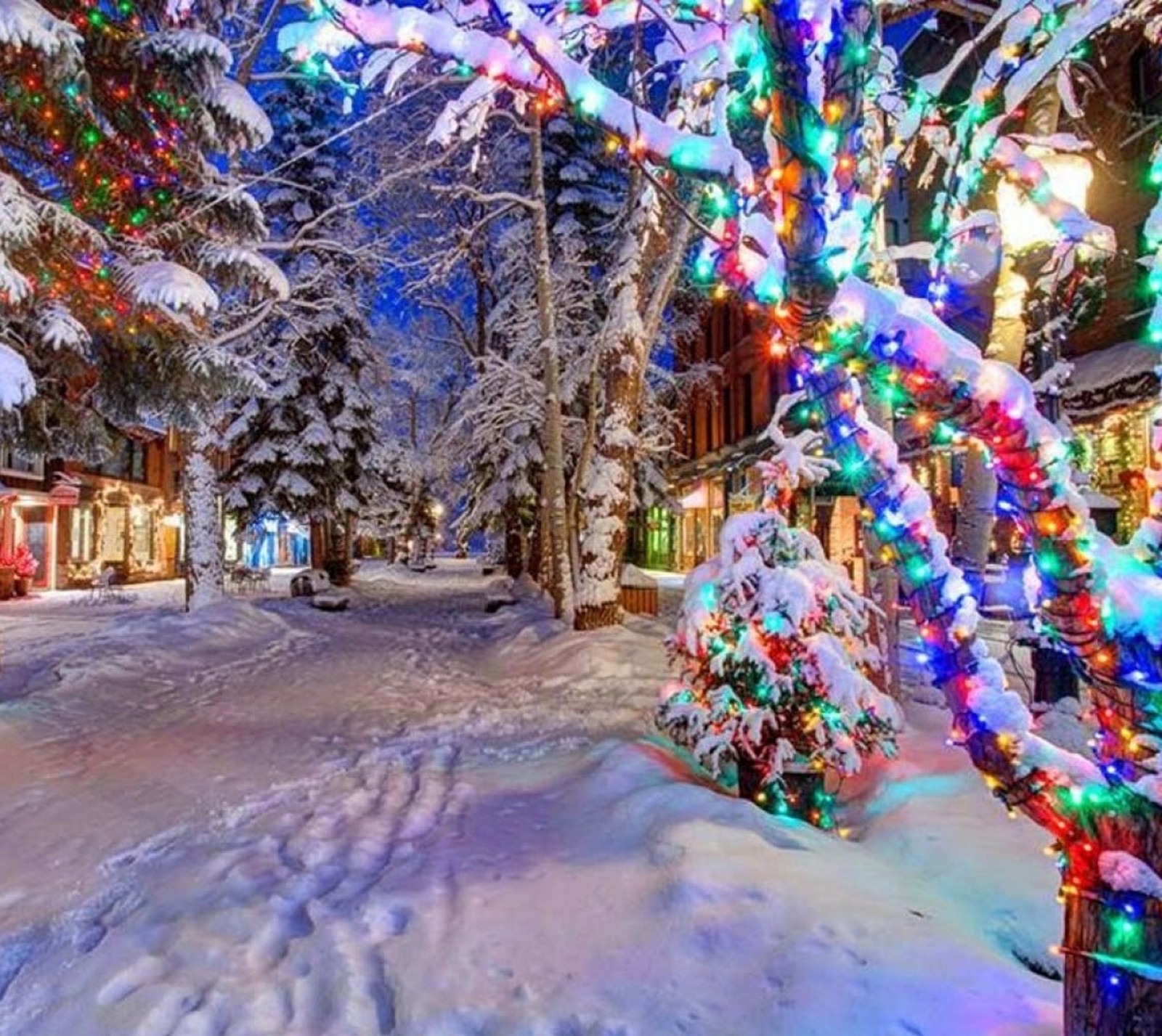 Lade feiertag, lichter, schnee, baum Hintergrund herunter