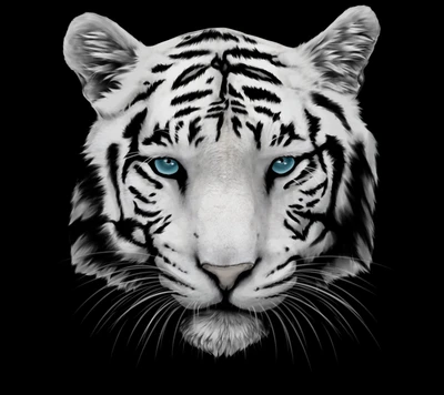 head, muzzle, tiger, whiskers, white tiger