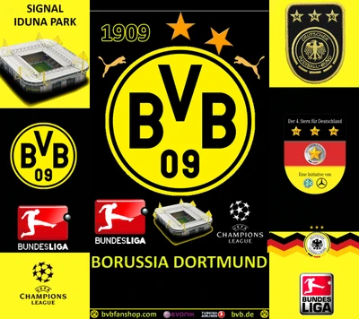 1909, borussia, bvb, dormund