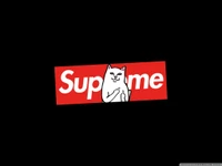 gato, dedo, engraçado, meio, supreme