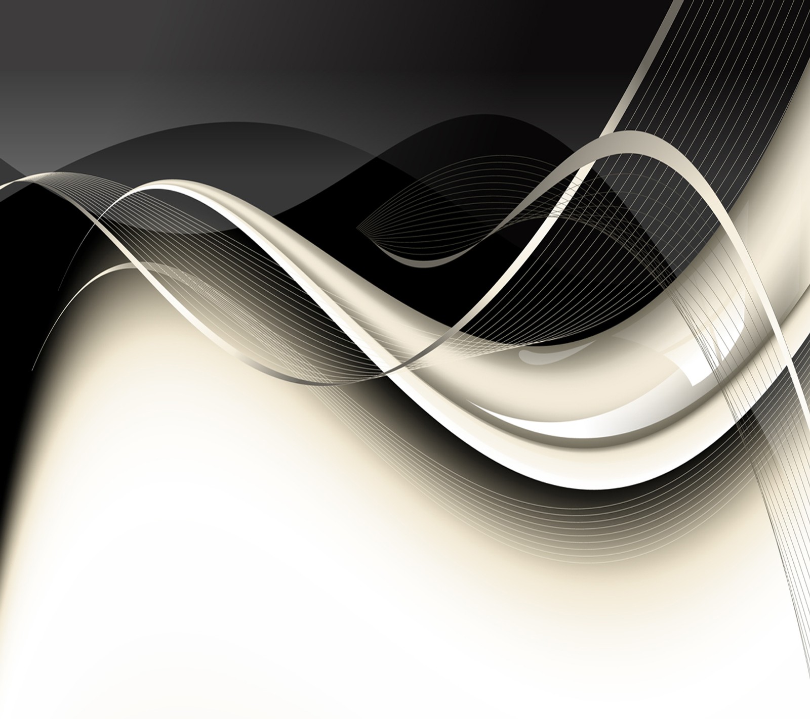 Abstract black and white background with curved lines (abstract, wallpaper)