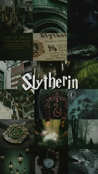 harry potter, hermione, ron, slytherin wallpaper