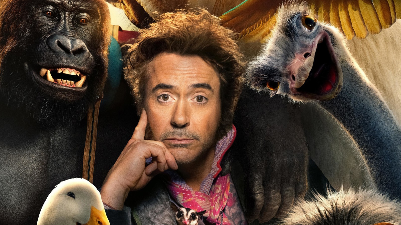 Um close em um homem com um macaco e um pássaro. (dr dolittle, dolittle, filme, 2020, cartaz)