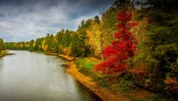 Reflejos de otoño a lo largo de una serena orilla del río