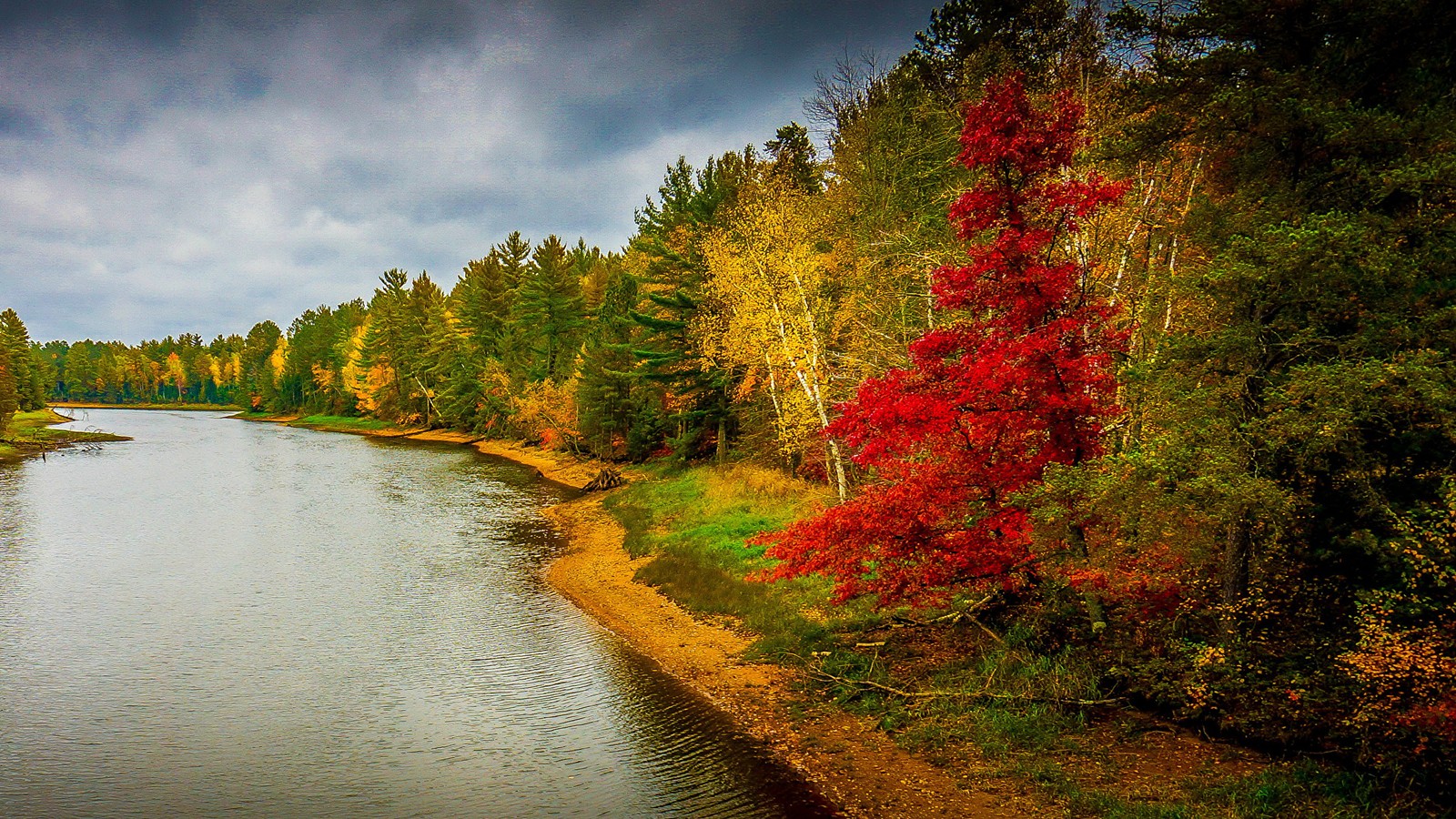 Blick auf einen fluss mit einem wald im hintergrund (herbst, saison, fluss, natur, baum)