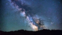 Voie lactée sur un paysage forestier la nuit