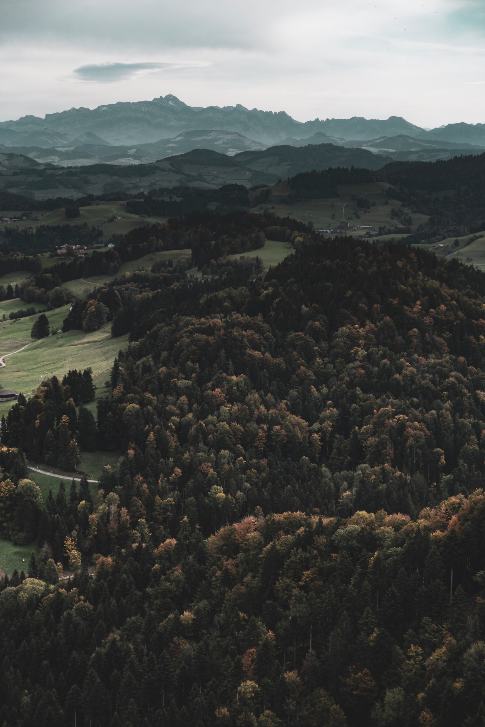 Vue aérienne d'une route sinueuse traversant une vallée verdoyante (sauvage, forêt, formes montagneuses, colline, hauts plateaux)