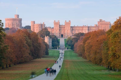 Castillo de Windsor entre el follaje otoñal y caminos majestuosos