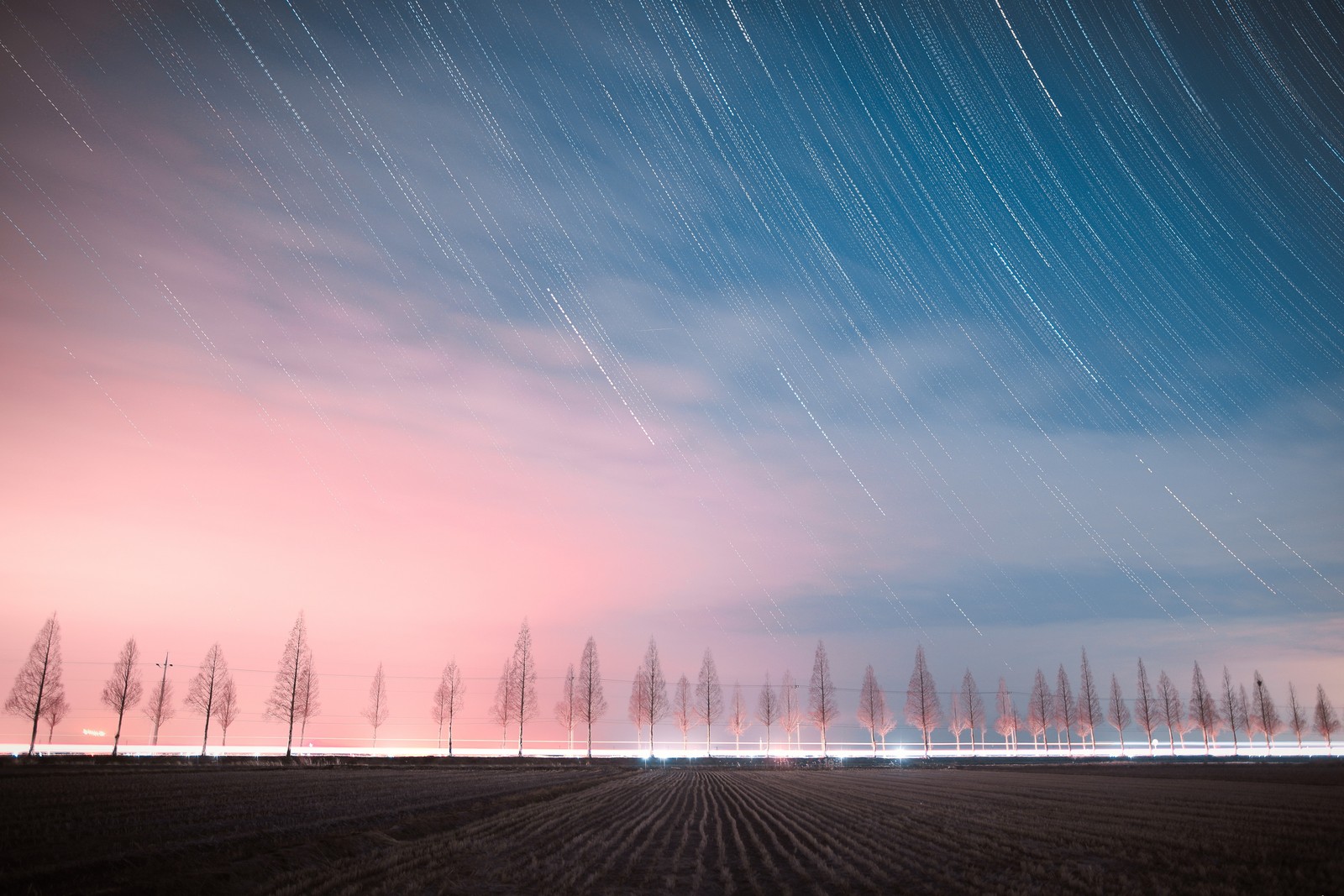 Uma vista de um campo com algumas árvores e um céu estrelado (azul, nuvem, paisagem natural, horizonte, atmosfera)