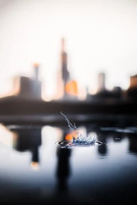 Reflejo de la ciudad con salpicaduras en el crepúsculo