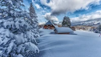 Paisaje cubierto de nieve con una casa y árboles de alerce bajo un cielo nublado.