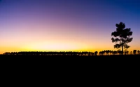 horizon, sunset, afterglow, sunrise, dawn wallpaper