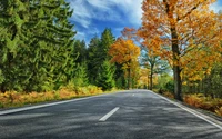 Carretera de otoño rodeada de follaje colorido