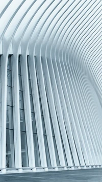 Curvilinear Steel Facade of a Modern Skyscraper