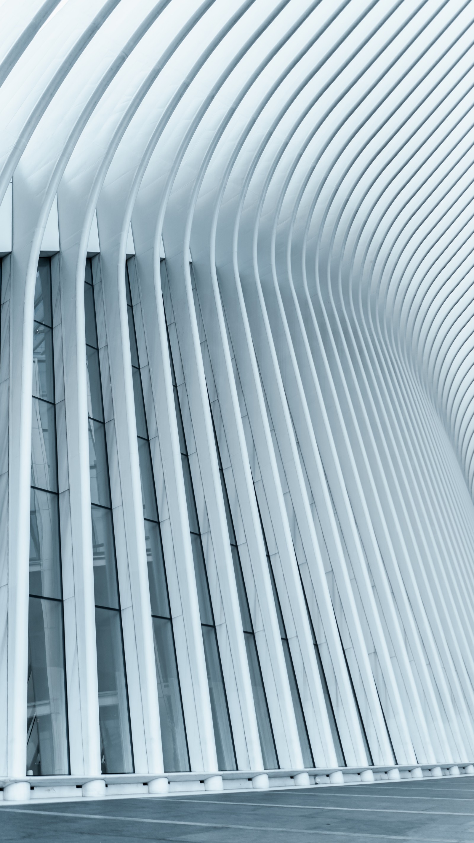 Arafed view of a building with a curved roof and a skylight (architecture, skyscraper, line, facade, metal)