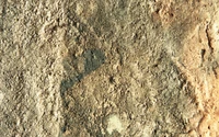 Textured Bedrock Surface with Soil and Grass Highlights