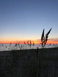 Atardecer sereno sobre aguas tranquilas con hierbas en silueta