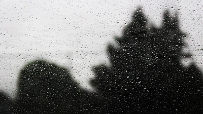 Gotas de chuva em uma janela com uma árvore silhuetada contra um céu monocromático.