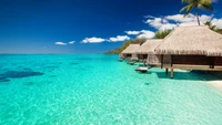 Tropische Überwasser-Bungalows umgeben von kristallklarem Wasser