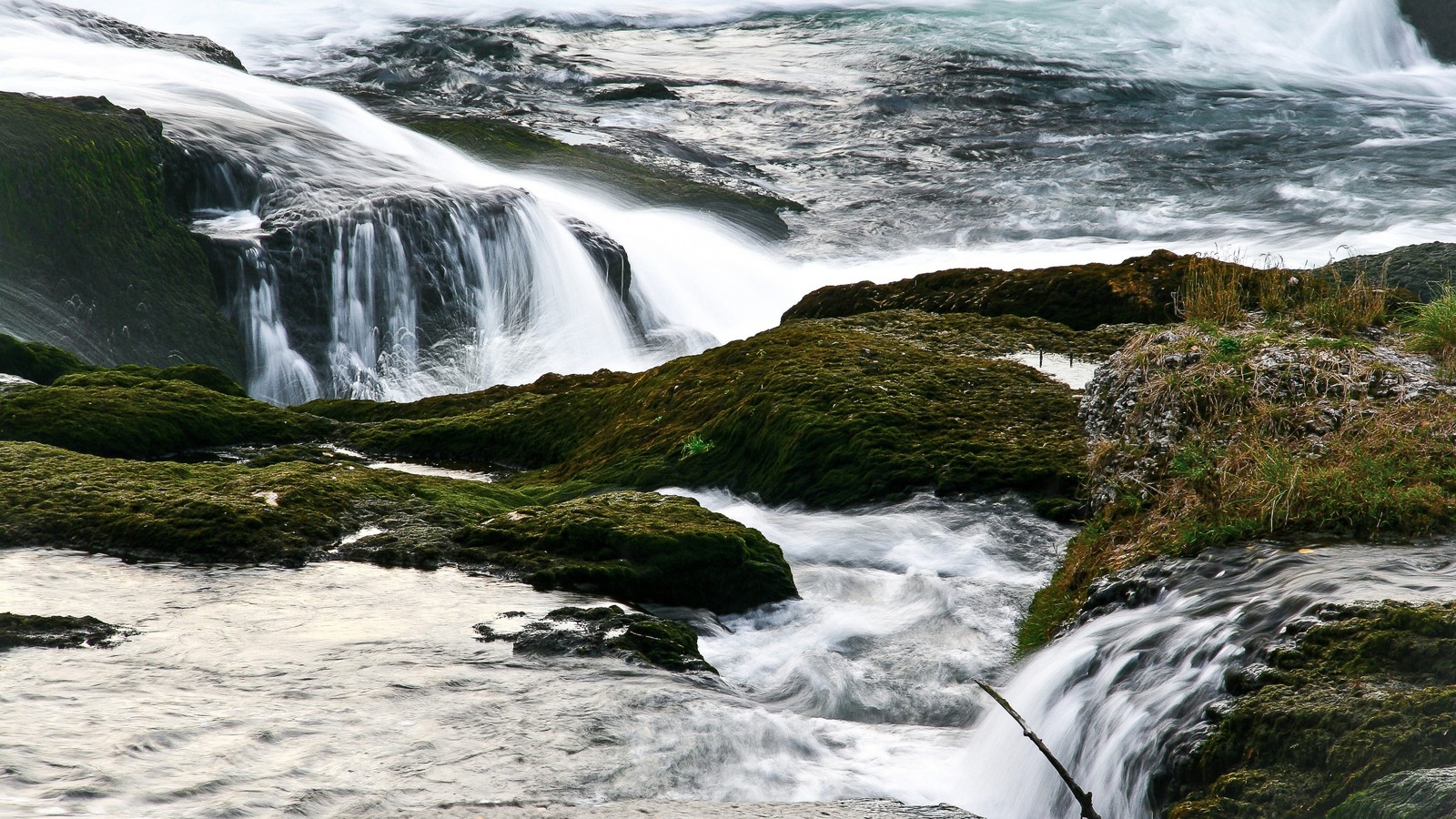 Hay una pequeña cascada que fluye sobre unas rocas (cascada, recursos hídricos, cuerpo de agua, naturaleza, agua)