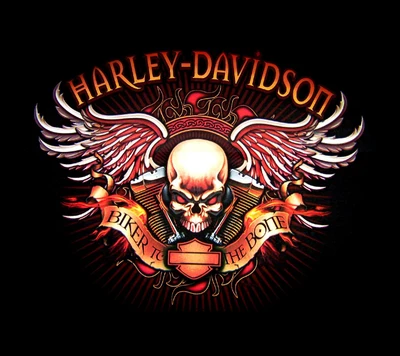 harley davidson, calavera