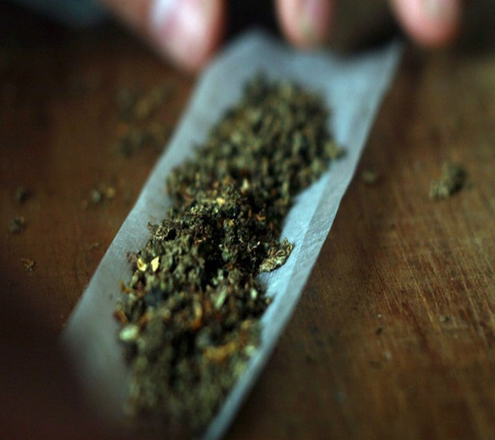 Quelqu'un découpe un morceau de marijuana sur une table (abej, beograd, herbe)