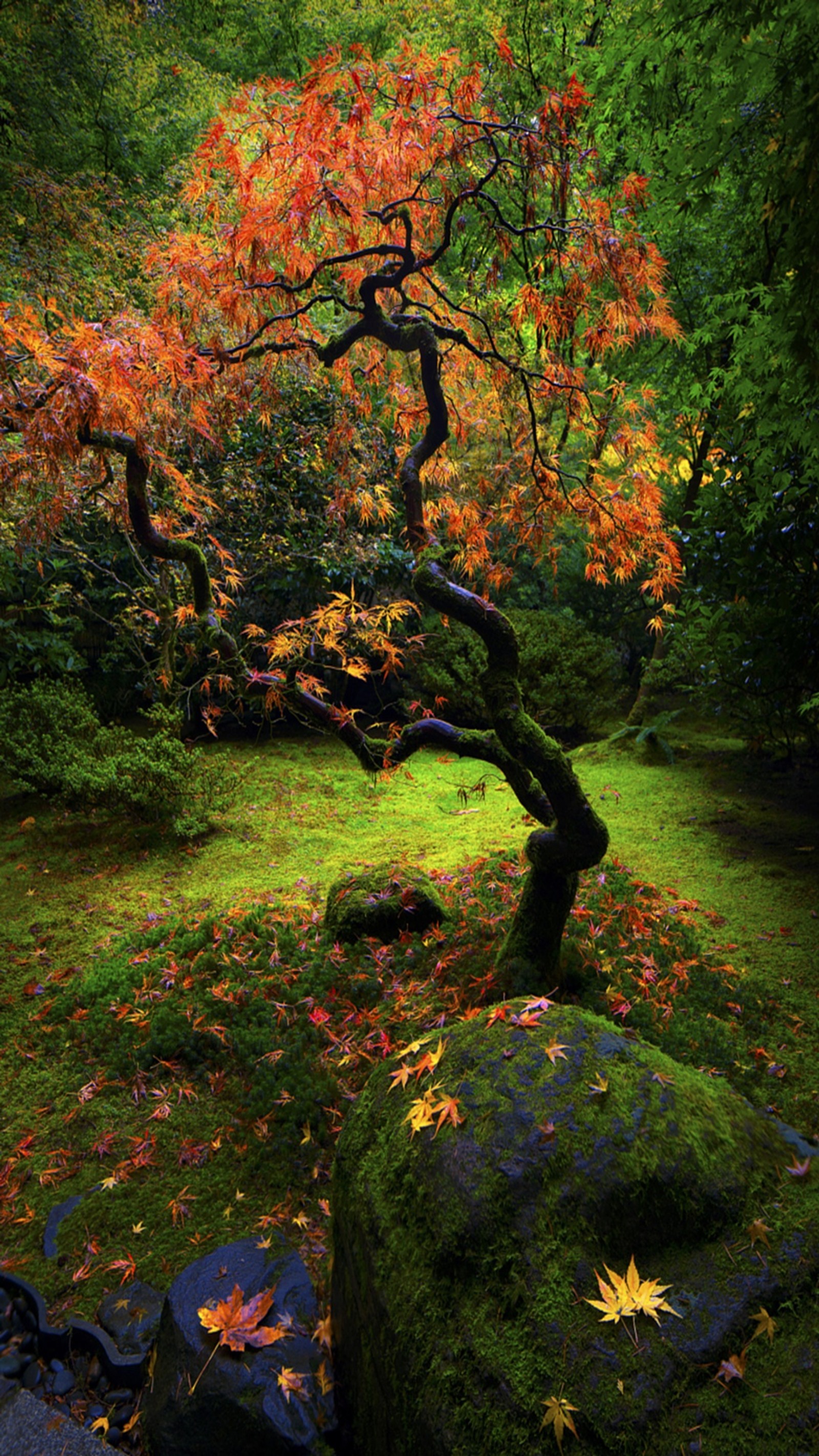 Lade herbst, landschaft Hintergrund herunter