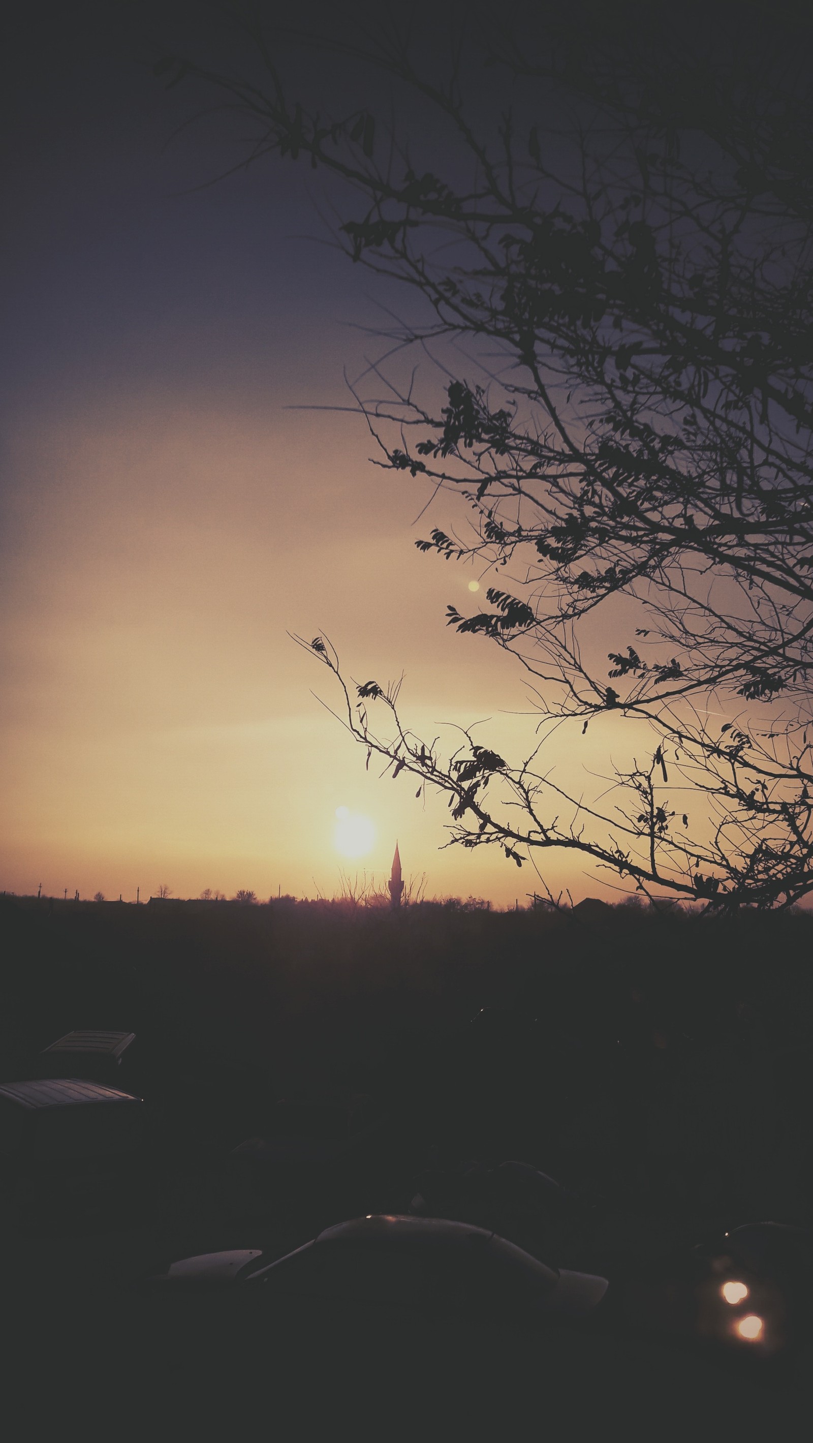 Arafed view of a sunset with a tree and a building in the distance (landscape, nature)