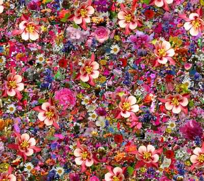 Vibrant Floral Explosion: A Kaleidoscope of Colors and Petals