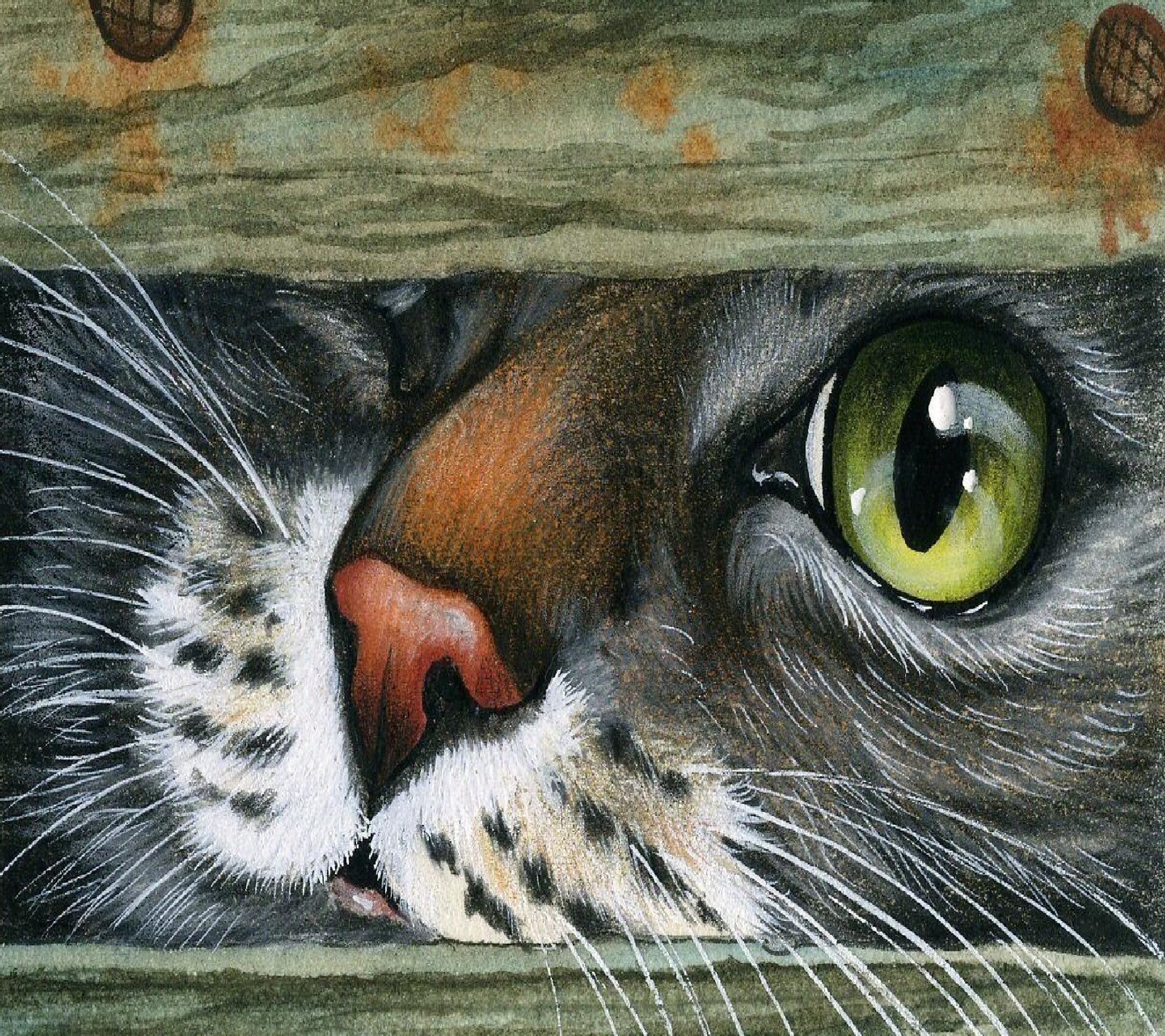 Painting of a cat looking out of a wooden fence (cat)