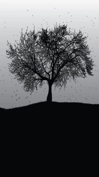 grau, baum