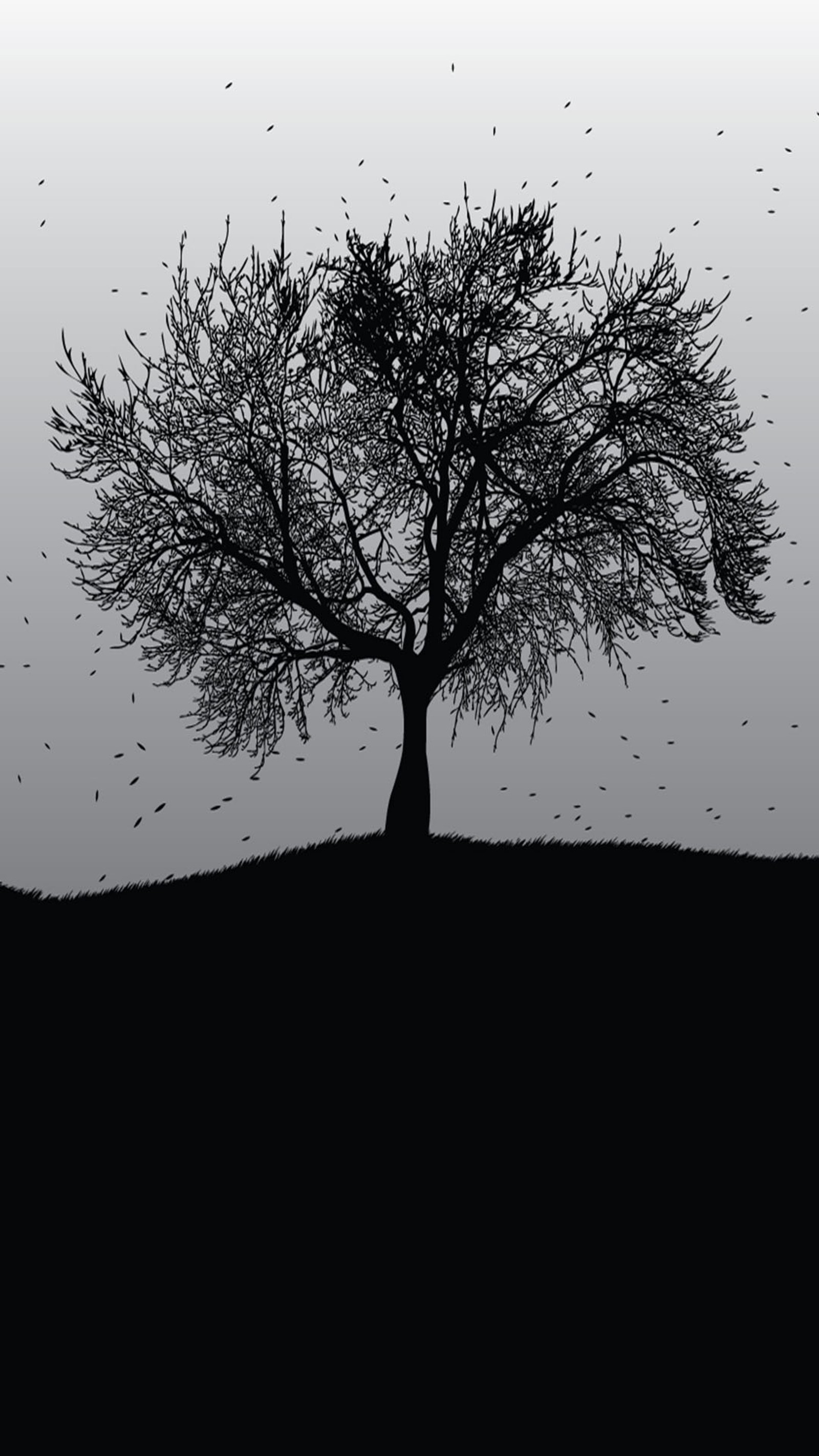 There is a black and white photo of a tree on a hill (grey, tree)